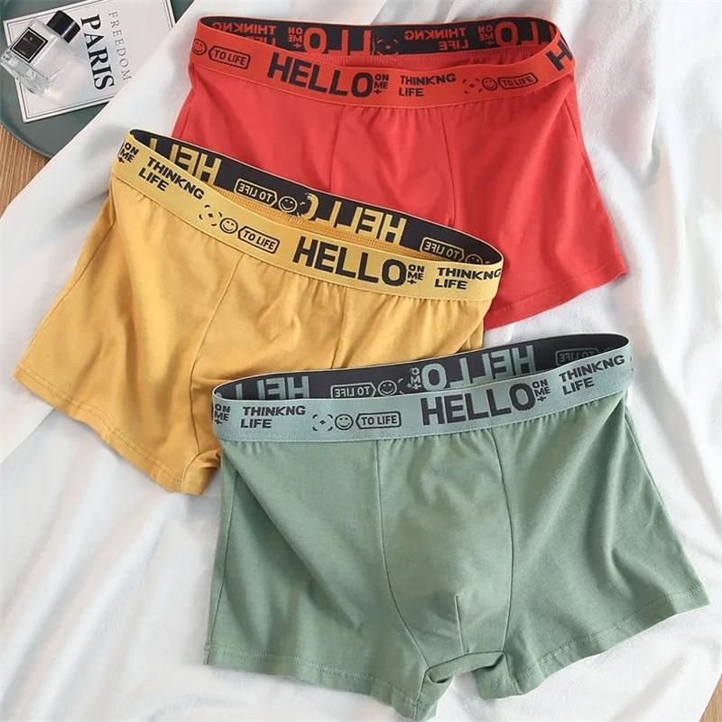 10 sztuk/bielizna męska męskie – Boxer Shorts Modal recenzja i cena